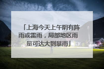 上海今天上午阴有阵雨或雷雨，局部地区雨量可达大到暴雨